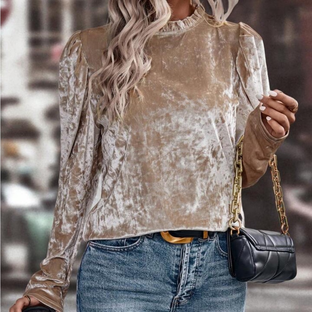 •SOLD• Champagne Velvet Long Sleeve Top